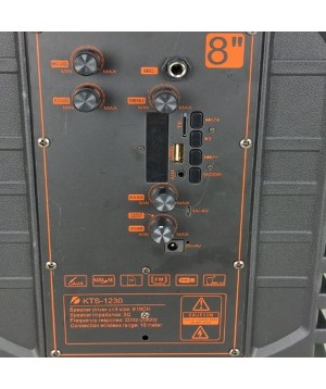 Caixa De Som 40W Karaokê Com Microfone e Controle KTS-1230