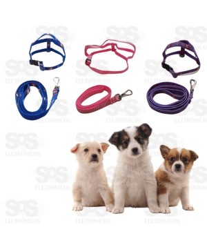 Coleira Peitoral Com Guia Nylon Listrada N°0 3095